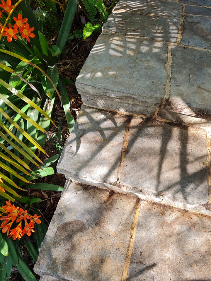 Chemron Chemicals | DEVELOPERS, MANUFACTURERS AND SUPPLIERS | 154 Shellharbour Rd, Port Kembla NSW 2505, Australia | Phone: 1800 812 309