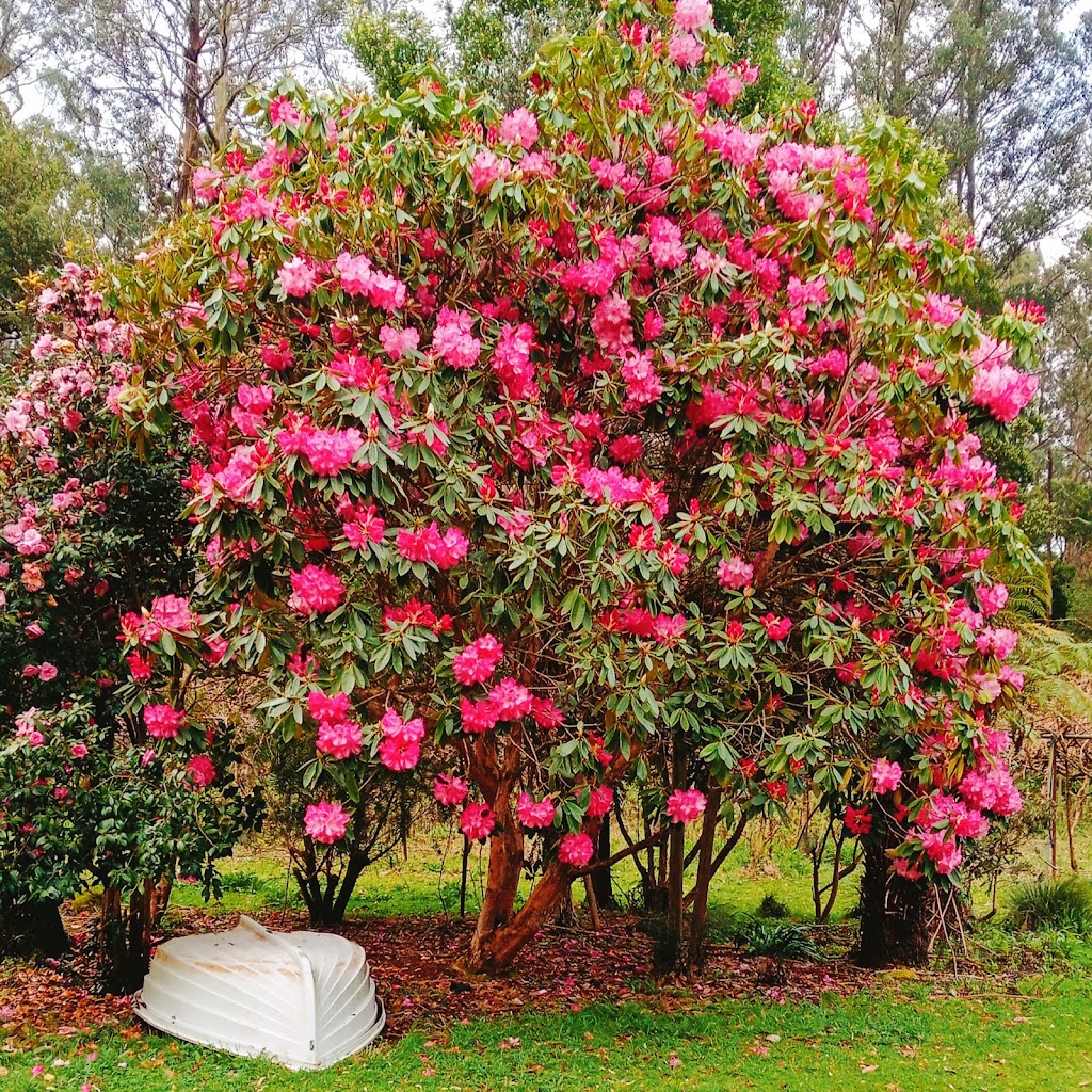 KL - West Garden Services. Kinglake West | 100 National Park Rd, Kinglake West VIC 3757, Australia | Phone: 0473 168 096