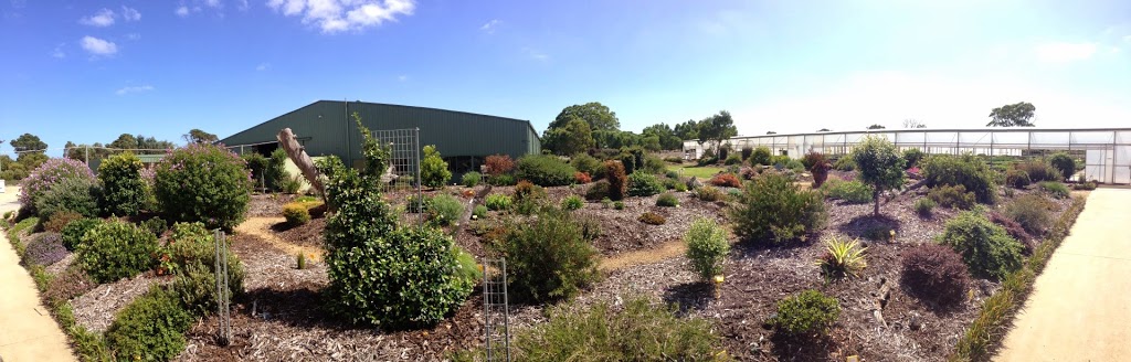 Mansfield Propagation Nursery | 150 Taylors Rd, Skye VIC 3977, Australia | Phone: (03) 9782 2404