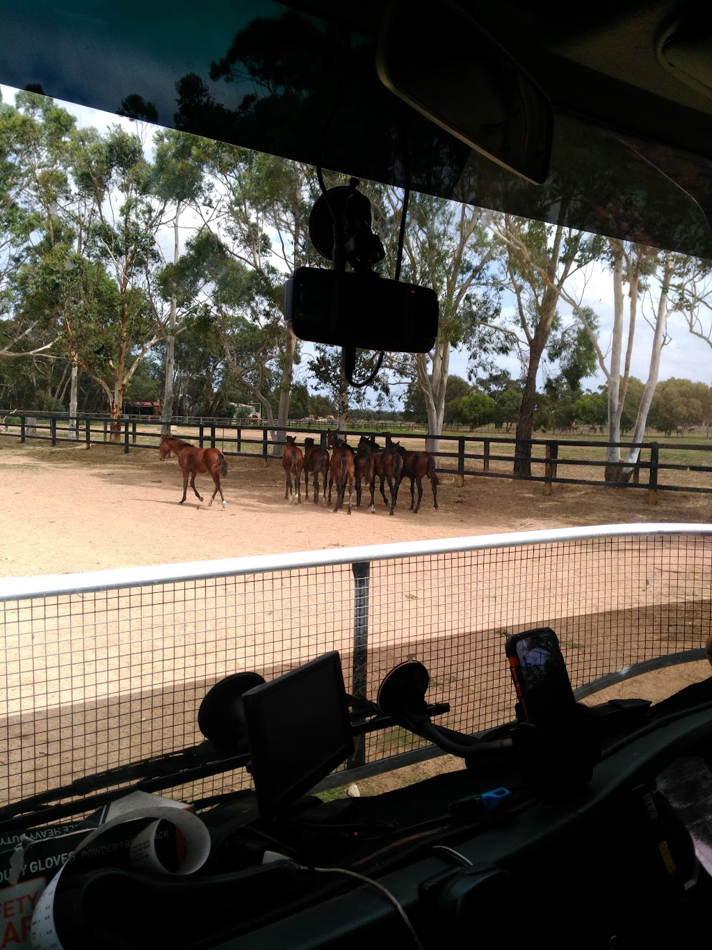 Allwood Stud Farm | 2199 Great Northern Hwy, Bullsbrook WA 6084, Australia | Phone: (08) 9571 3999