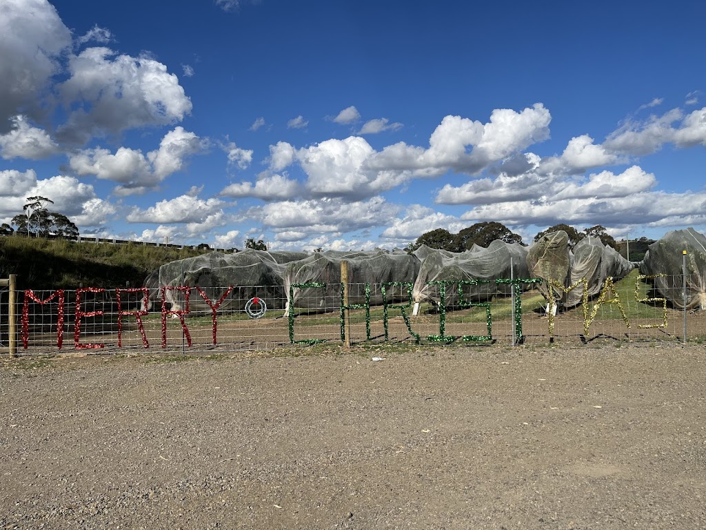 Dellios Orchards | 664 Bacchus Marsh Rd, Bacchus Marsh VIC 3340, Australia | Phone: (03) 5367 5297