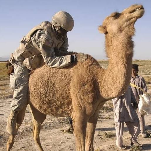 Mandeepak Singh Camel Reserve | Fyshwick ACT 2609, Australia