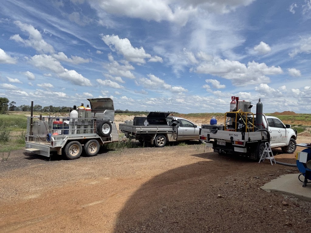 Border Regions Pest Control & Border Grain Fumigation | 3 Phipps St, Goondiwindi QLD 4390, Australia | Phone: 0498 769 639