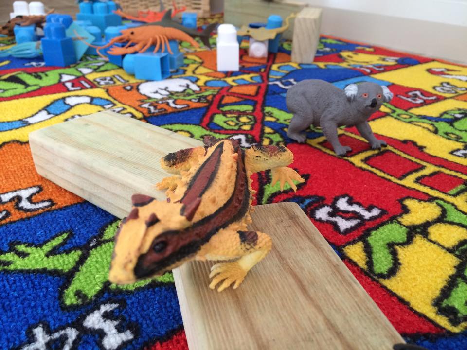 Little Wonders Early Learning Centre | 29 Elm St, Albion Park Rail NSW 2527, Australia | Phone: (02) 4256 8882