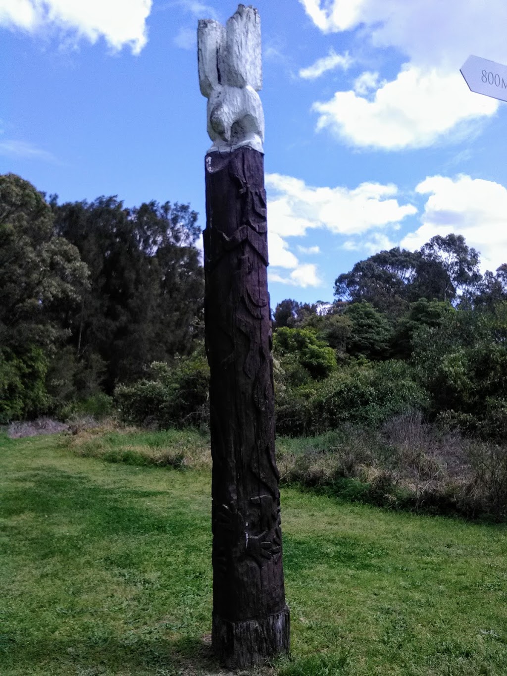 Shortland Wetlands Area | park | Shortland NSW 2307, Australia