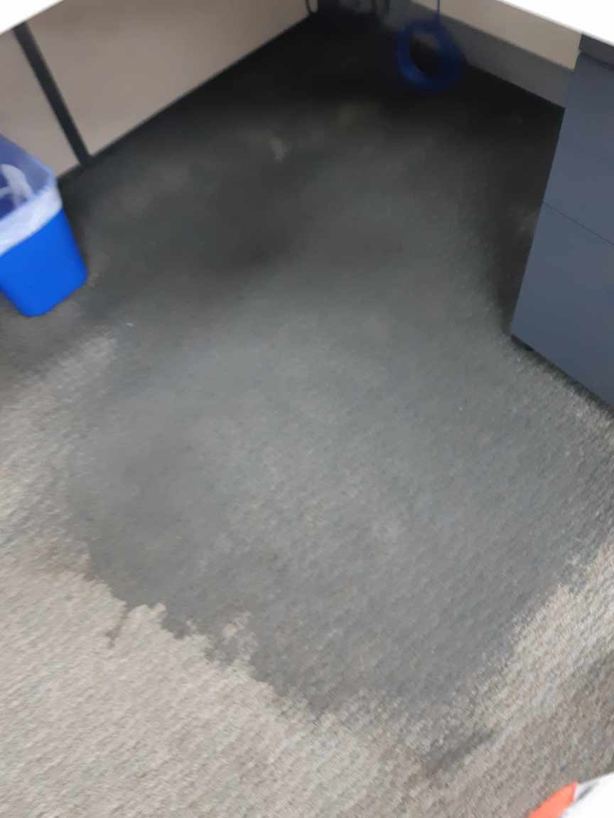 Carpet Water Damage Warehouse | laundry | 26 Station St, Dundas NSW 2117, Australia | 0428997684 OR +61 428 997 684