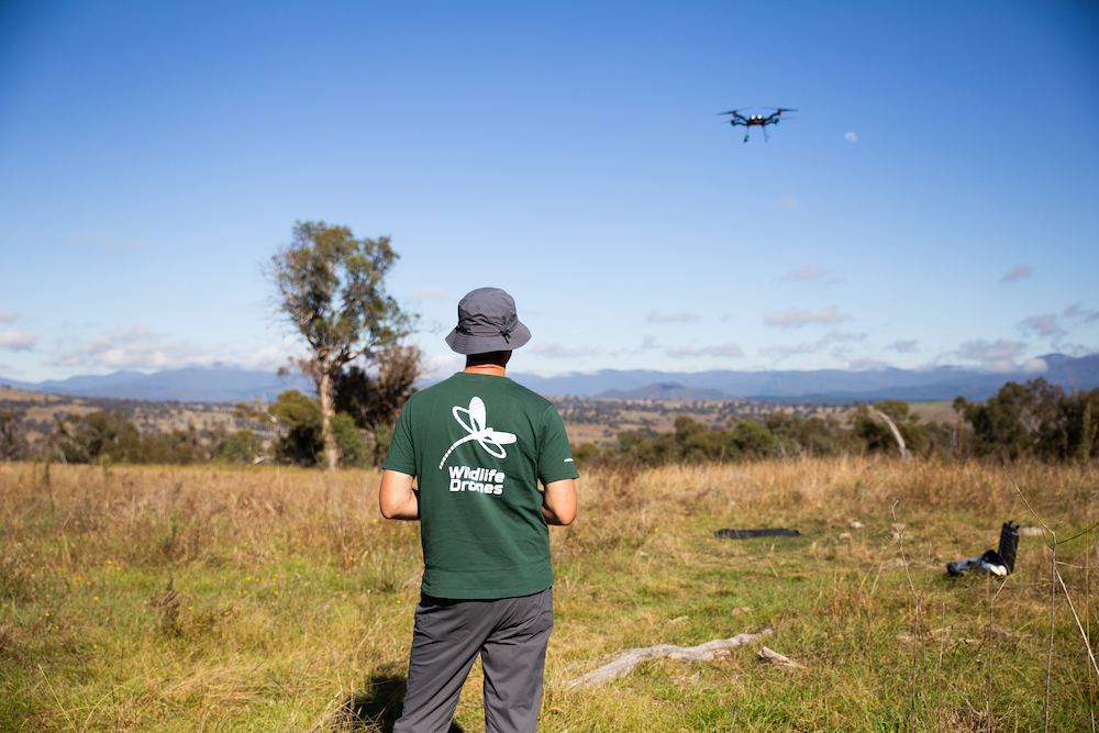 Wildlife Drones - Animal Tracking | Gould Building, Daley Rd, Acton ACT 2601, Australia | Phone: 1300 828 679
