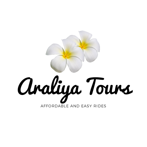 Araliya Tours and Travels | car rental | 8 Alek Ct, Forest Hill VIC 3131, Australia | 0422193792 OR +61 422 193 792