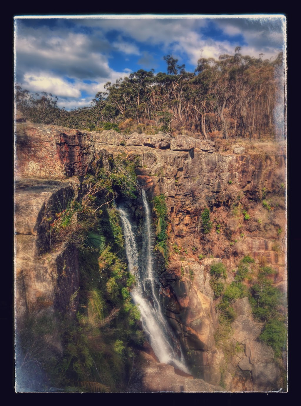 Nellies Glen picnic area | park | Cloonty Road, Robertson NSW 2577, Robertson NSW 2577, Australia