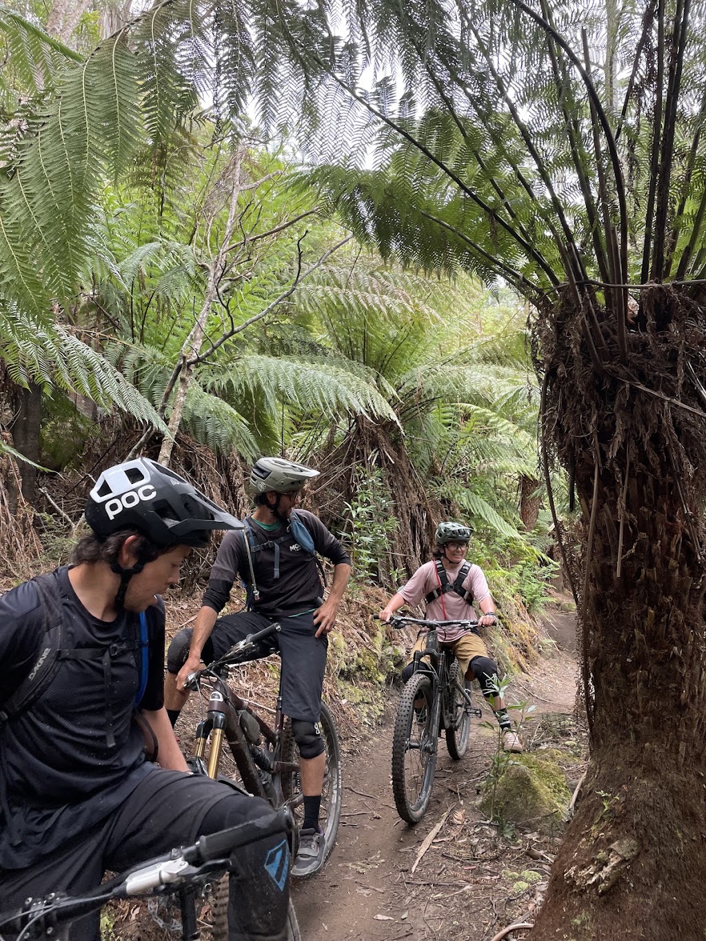 Up Down Around MTB | 30 Main St, Derby TAS 7264, Australia | Phone: 0487 379 643
