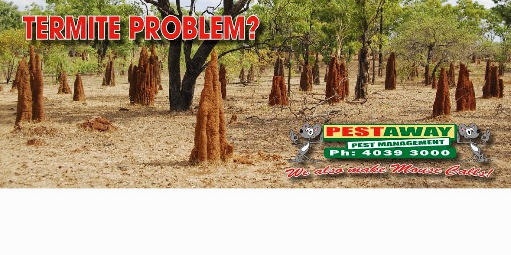 Pestaway Pest Management Cairns | home goods store | u1/9 Industrial Ave, Stratford QLD 4870, Australia | 0740551055 OR +61 7 4055 1055