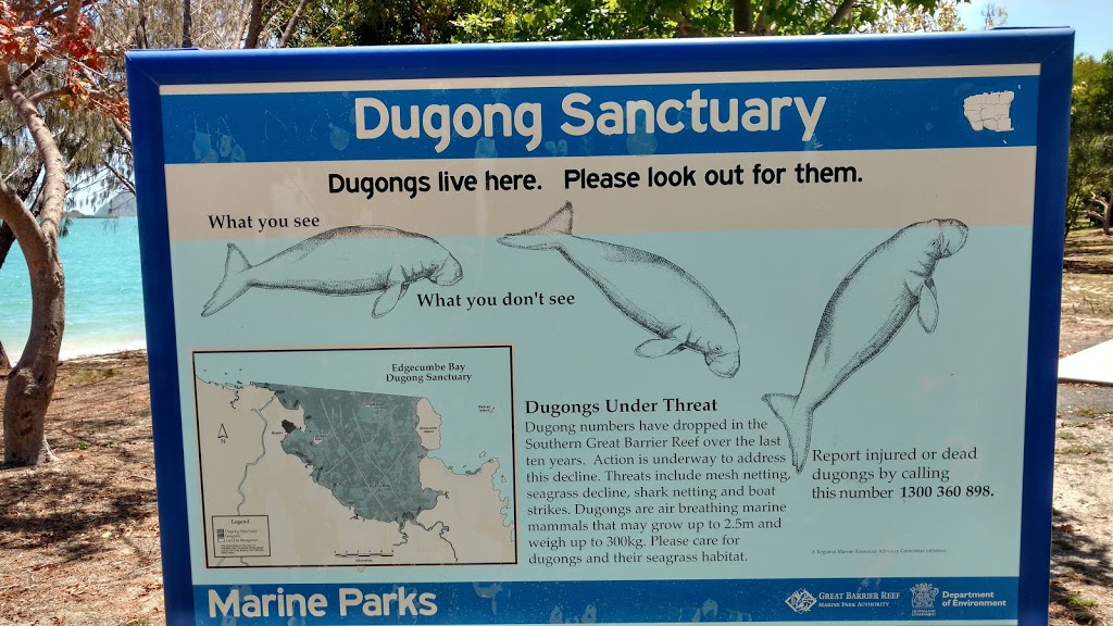 Dingo Beach Foreshore Reserve | Queensland, Australia