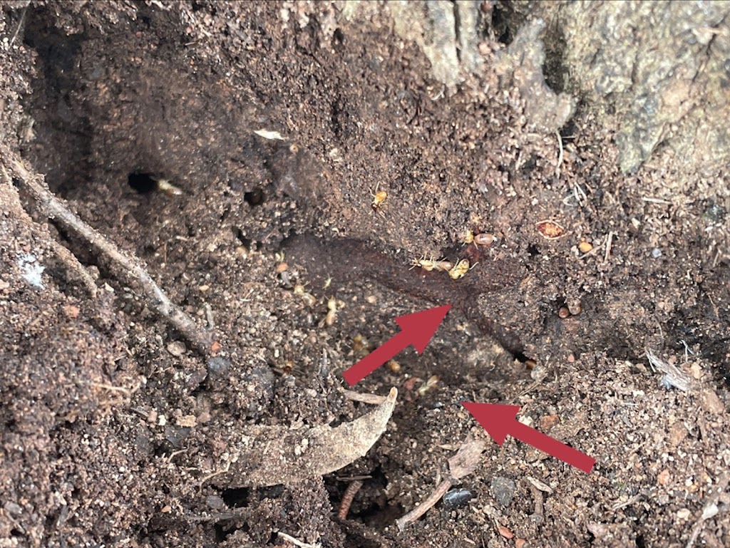 Macedon Ranges Termite Specialist Pty Ltd | 5 Rimfire Ct, New Gisborne VIC 3438, Australia | Phone: 0422 370 058