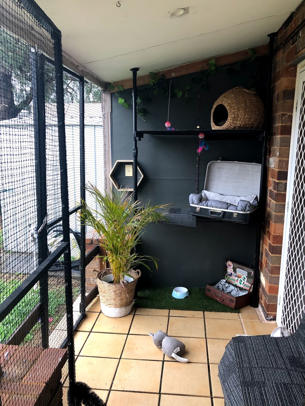 Meow Manor Cat Hotel | veterinary care | 18 Lae Rd, Holsworthy NSW 2173, Australia | 0400312047 OR +61 400 312 047