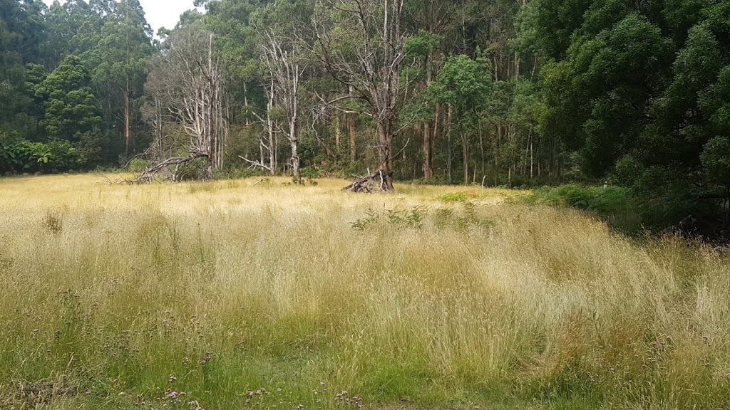 Brendons corner | park | Neuman Track, Kallista VIC 3791, Australia