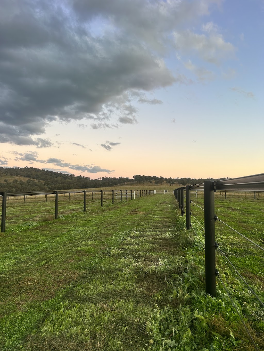 JP Lodge | 32 Bakewell Cct, Scone NSW 2337, Australia | Phone: 0407 464 318