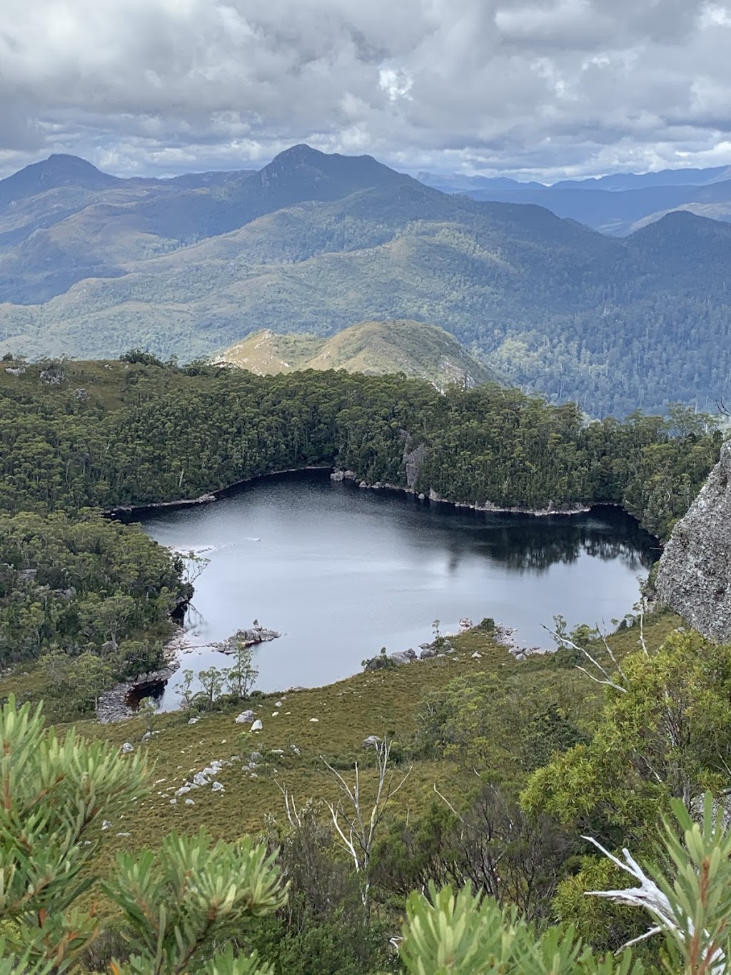 Tarkine Wilderness Walk | 1 Corinna Rd, Corinna TAS 7321, Australia | Phone: (02) 9975 4553