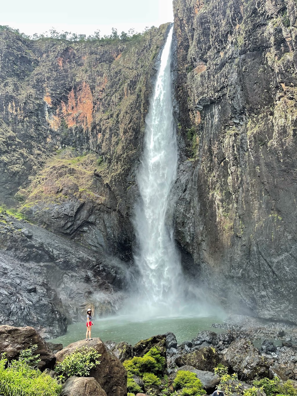 Wallaman Falls | tourist attraction | Lookout Rd, Wallaman QLD 4850, Australia | 0747764792 OR +61 7 4776 4792