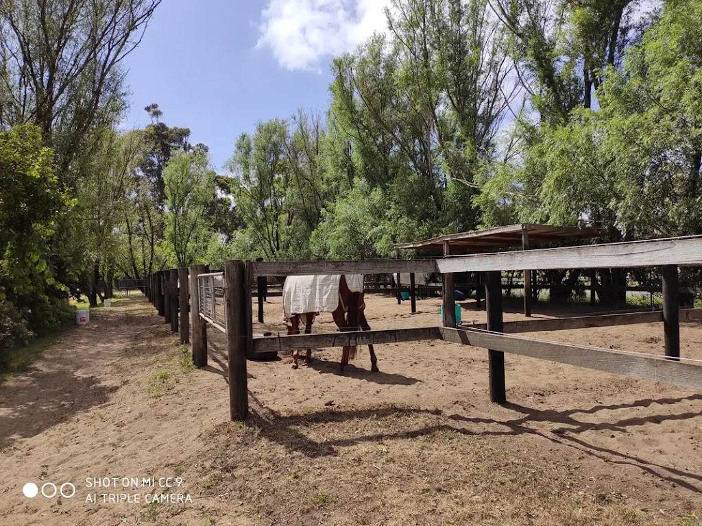 Smiley Chan Racing | 11 Knights Ct, Tynong VIC 3813, Australia | Phone: 0434 067 395