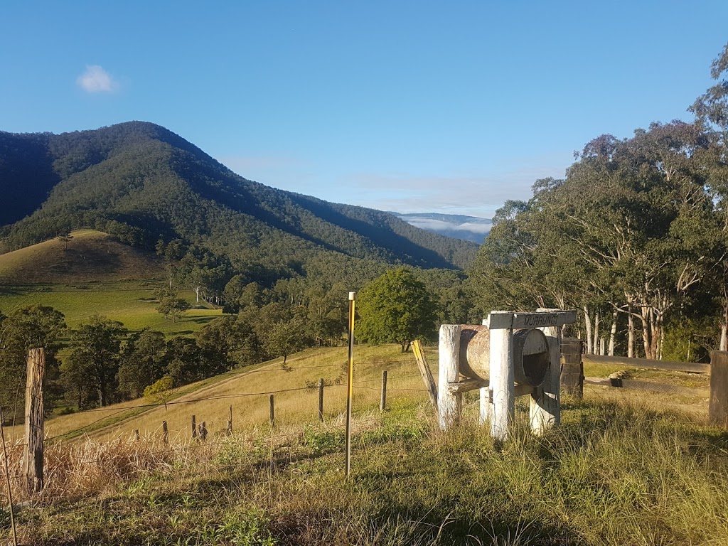 Georges Creek Nature Reserve | Jeogla NSW 2350, Australia