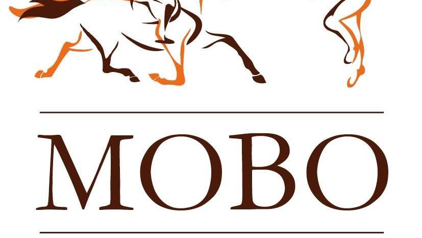 MOBO Massage | 2 Railway Ave, Ringwood East VIC 3134, Australia | Phone: 0405 171 266
