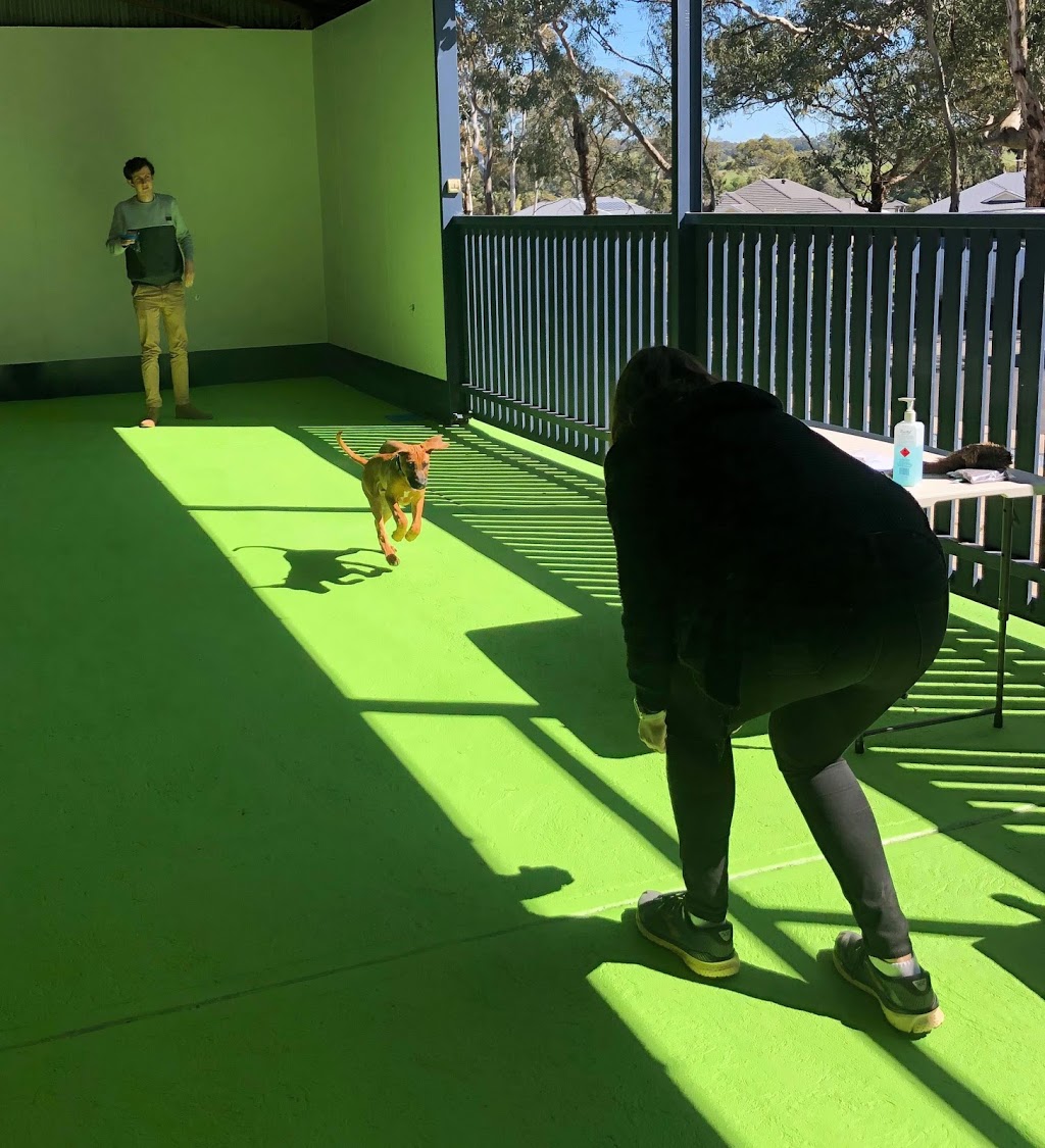 Barker Behaviour and Training | 204 Flaxley Rd, Mount Barker SA 5251, Australia | Phone: 0479 111 404