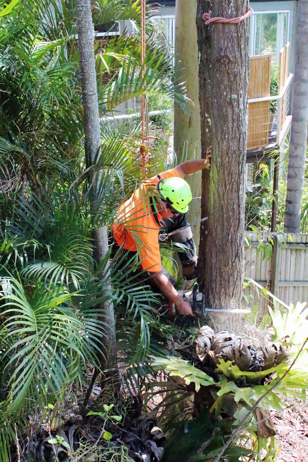 Gold Coast Stump Busters |  | Gaven QLD 4211, Australia | 0403182352 OR +61 403 182 352