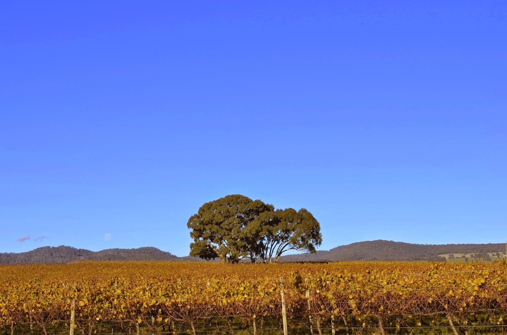 Barwite Vineyards Pty Ltd | 1974 Long Ln, Barwite VIC 3722, Australia | Phone: (03) 5776 9800