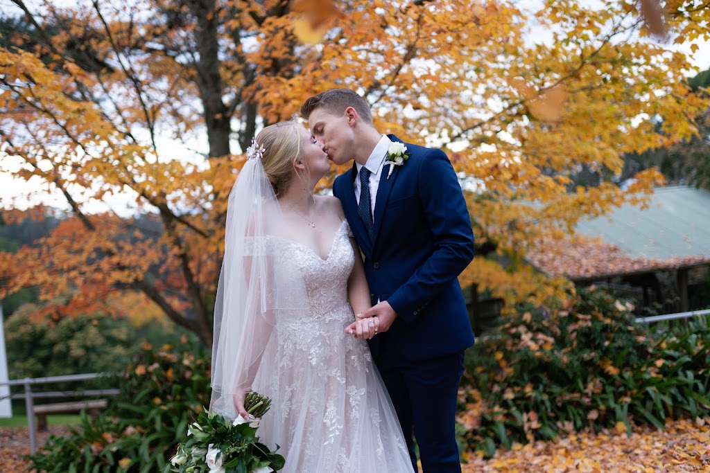 Lightheart Films & Photography | 3/610-618 New Canterbury Rd, Hurlstone Park NSW 2193, Australia | Phone: (02) 9592 0366