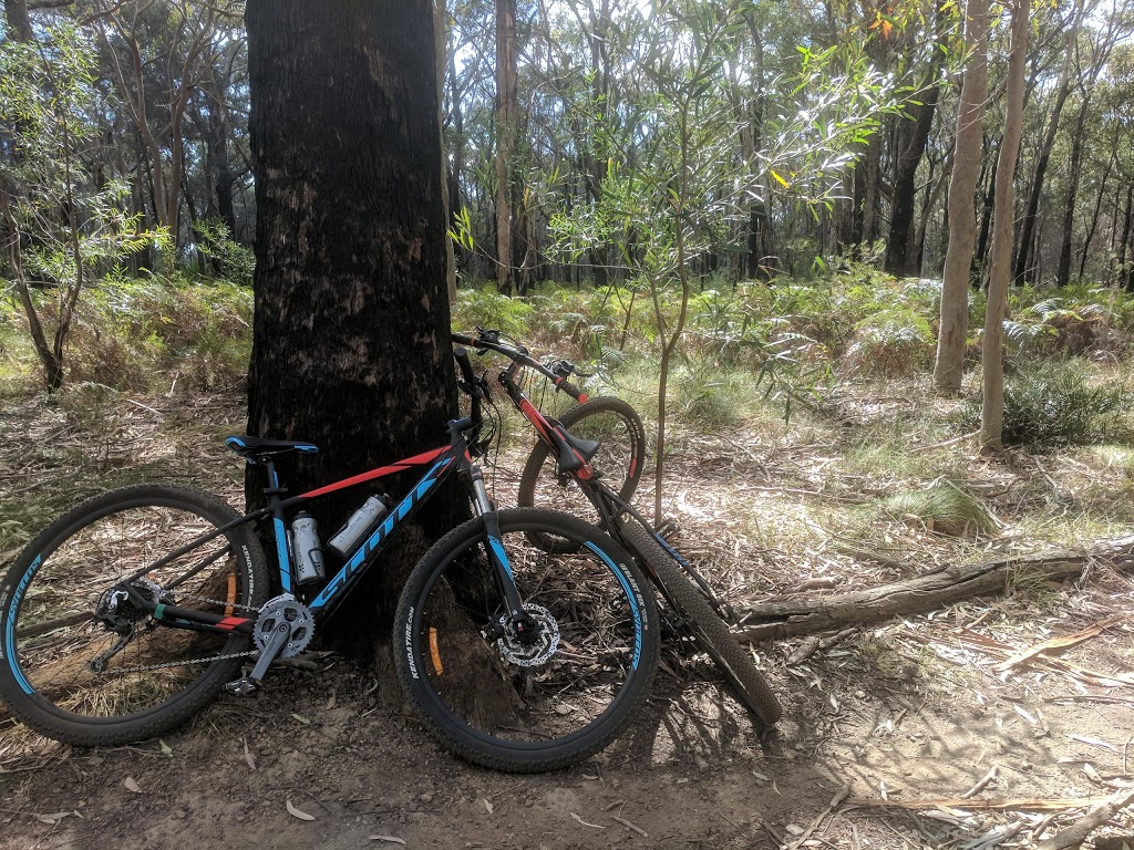 Loftus MTB park | park | Loftus NSW 2233, Australia