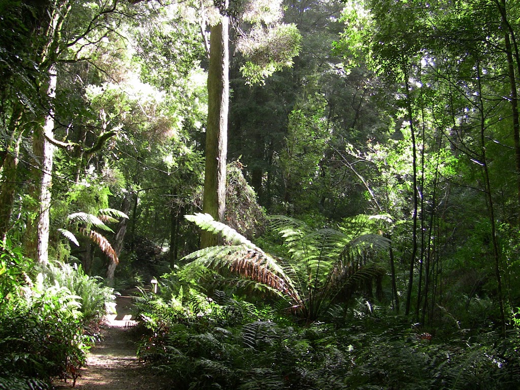 Botanical Garden Reserve | Strahan TAS 7468, Australia