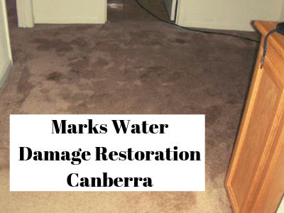 Marks Water Damage Restoration Canberra | 1 National Circuit, Barton ACT 2600, Australia | Phone: 0421 830 164