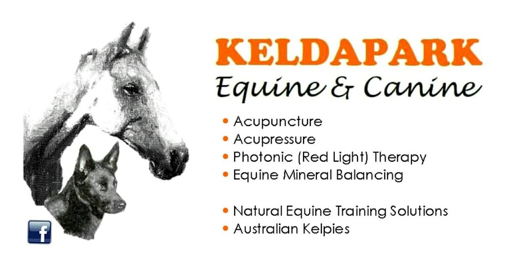 Taylord Horsemanship & Dog Training | Killigrew Rd, Tamborine QLD 4270, Australia | Phone: 0481 015 225