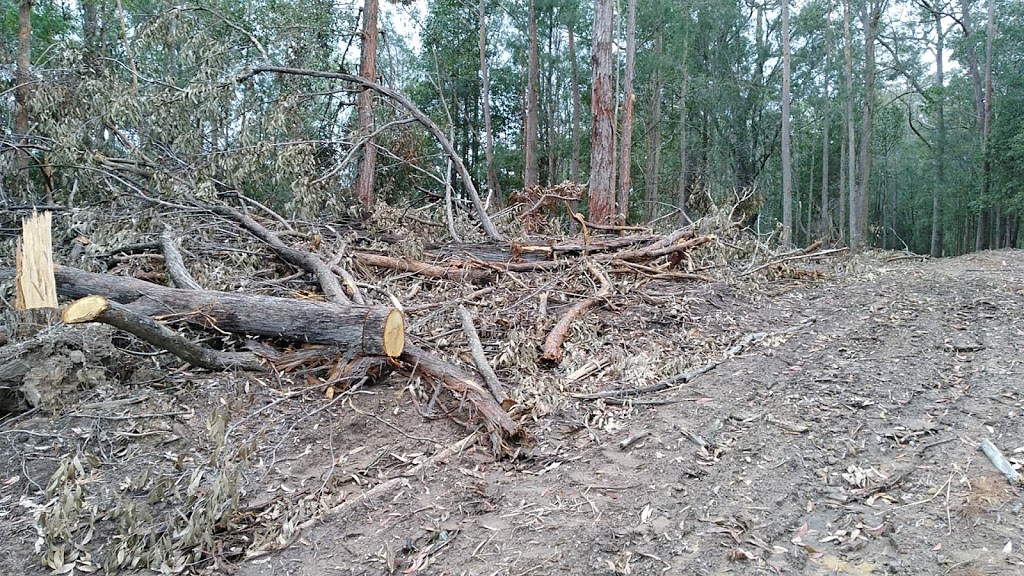 Real Walkers Rest Camping Area | Unnamed Road, Ravensdale NSW 2259, Australia