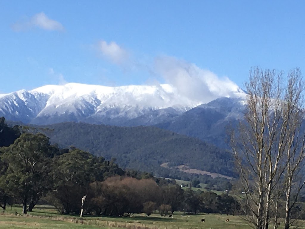 Kalimna Stud | 6827 Kiewa Valley Highway, Tawonga VIC 3697, Australia | Phone: 0409 278 733