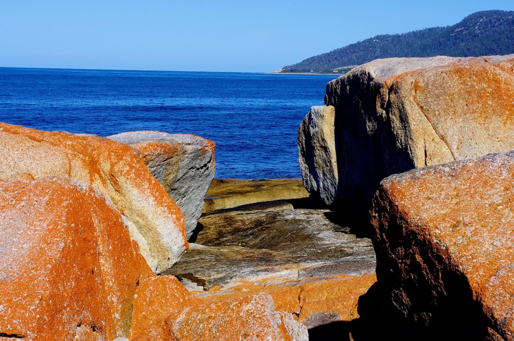 Whalers Lookout Scenic reserve | Esplanade, Bicheno TAS 7215, Australia