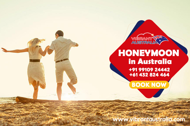 VIBRANT TOURS PTY LTD. | travel agency | 29 Jezebel St, The Ponds NSW 2769, Australia | 0432824464 OR +61 432 824 464