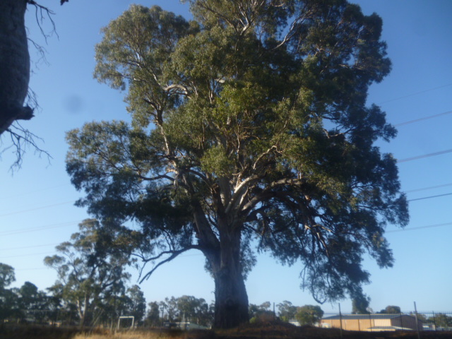 Happy Home Reserve | park | Salisbury SA 5108, Australia