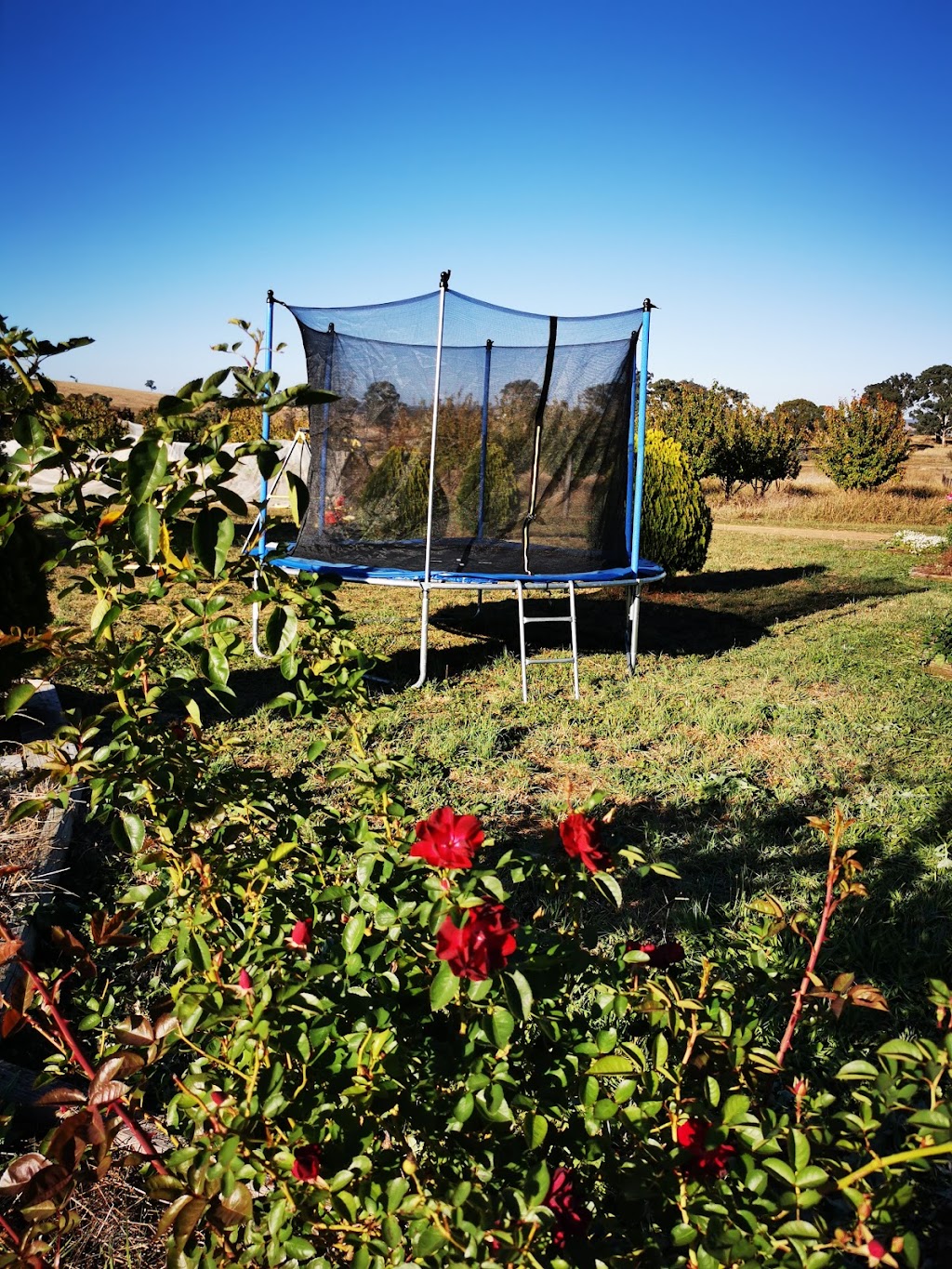 Kathmandu Farmstay | 23 Station St, Brewongle NSW 2795, Australia | Phone: 0452 220 178