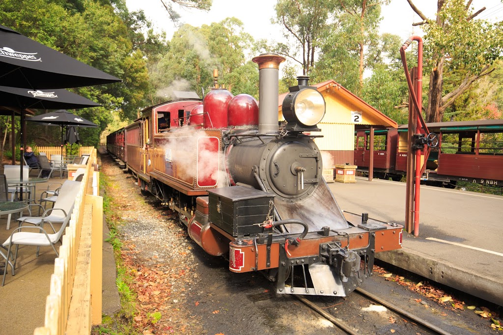 Emerald Lake Park | Emerald Lake Rd, Emerald VIC 3782, Australia | Phone: 1300 131 683