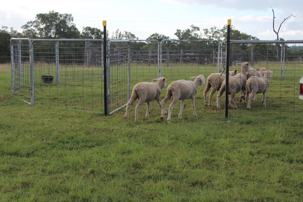 Bobb n Co Working Dog Services (Herding Dog Training) | 7900 Brisbane Valley Highway, Yimbun QLD 4313, Australia | Phone: 0439 812 010