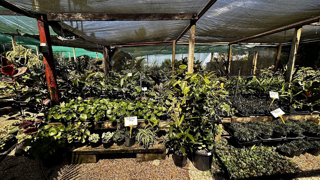 Onshore Nursery | 369 Hinterland Wy, Knockrow NSW 2479, Australia | Phone: 0401 224 632
