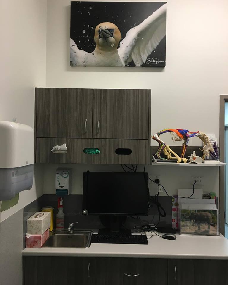 ACU-PET Veterinary Acupuncture and Rehabilitation Therapies | Unti1/111 Dandenong Rd, Jamboree Heights QLD 4074, Australia | Phone: 0403 111 878