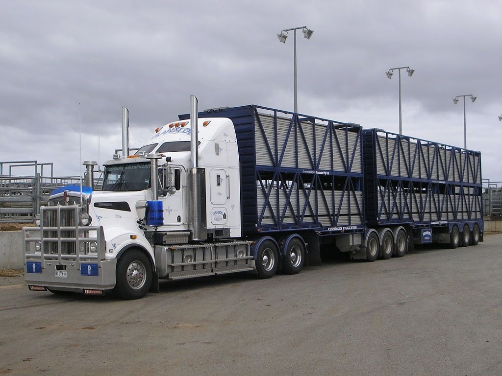 Transedel Livestock Carriers | moving company | 302 Sale-Cowwarr Rd, Fulham VIC 3851, Australia | 0418595819 OR +61 418 595 819