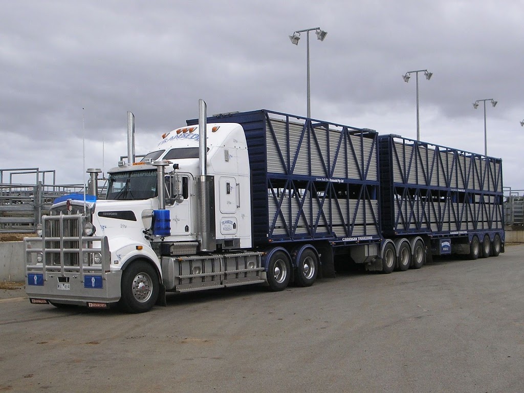 Transedel Livestock Carriers | 302 Sale-Cowwarr Rd, Fulham VIC 3851, Australia | Phone: 0418 595 819