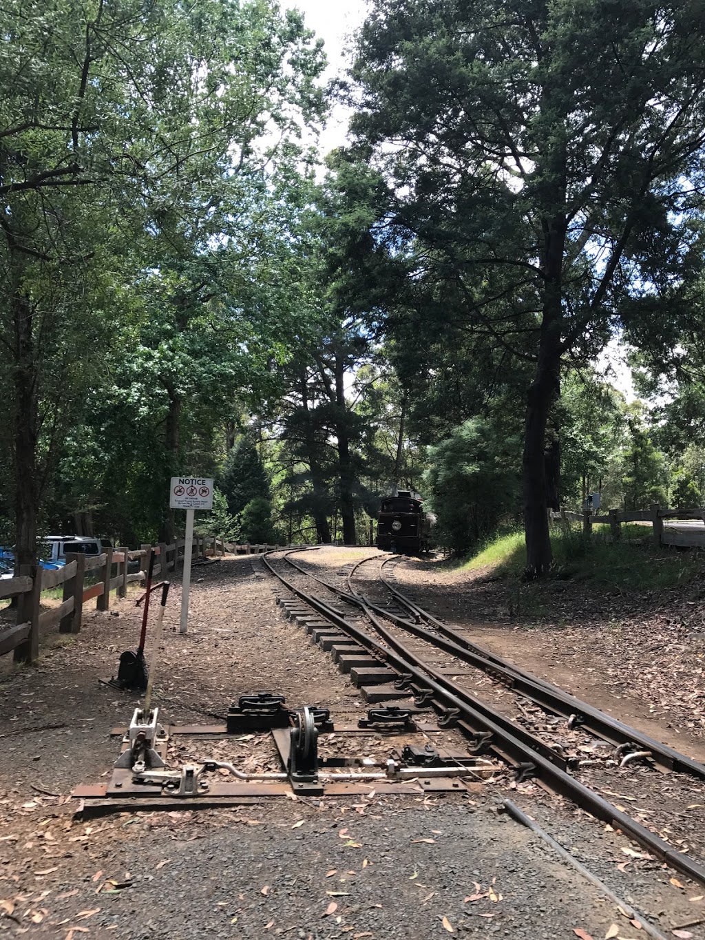 Emerald Lake Park | park | Emerald Lake Rd, Emerald VIC 3782, Australia | 1300131683 OR +61 1300 131 683