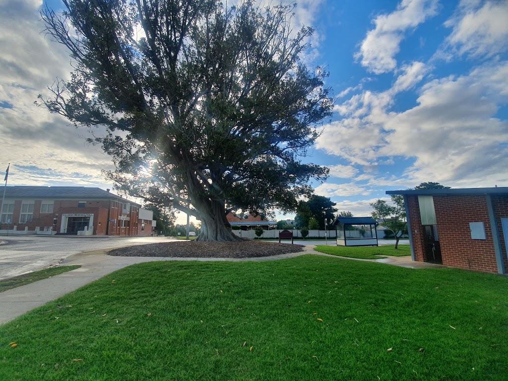 Rutherglen Apex Playground and Skate Park | 137 Murray St, Rutherglen VIC 3685, Australia | Phone: 1800 622 871