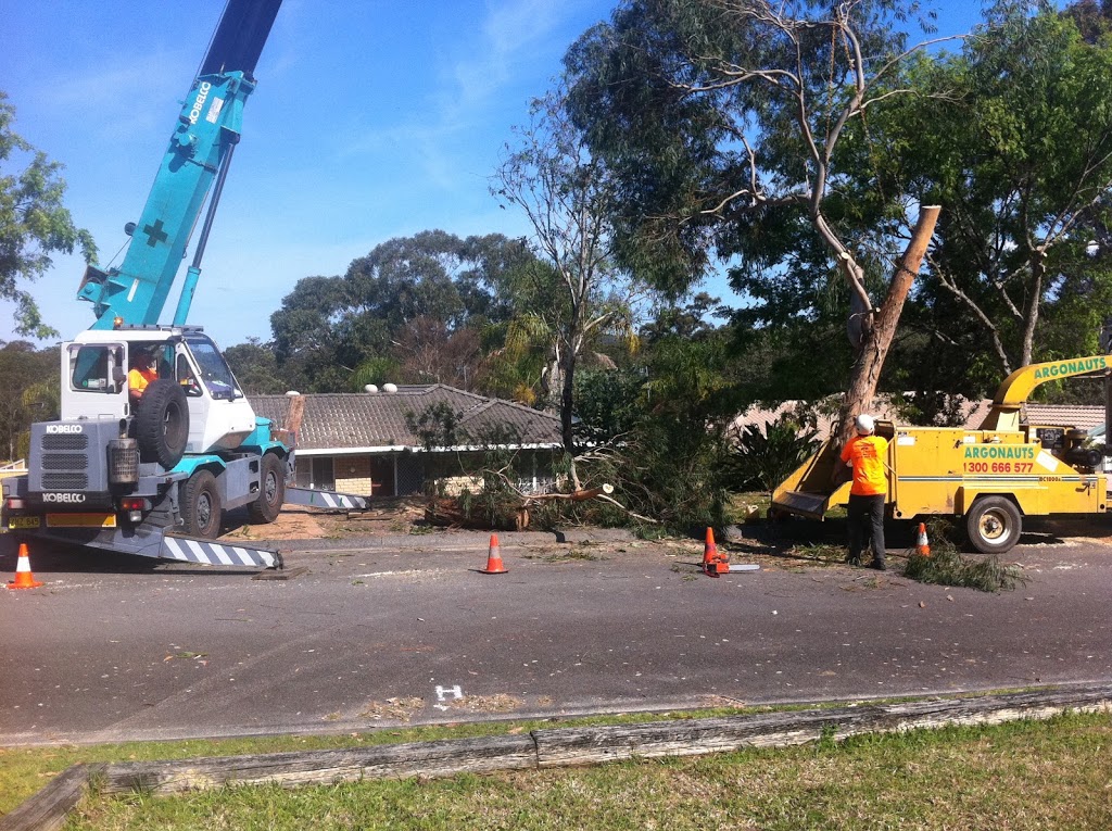 Argonauts Tree Service | Lake Rd, Tuggerah NSW 2259, Australia | Phone: (02) 4355 4555