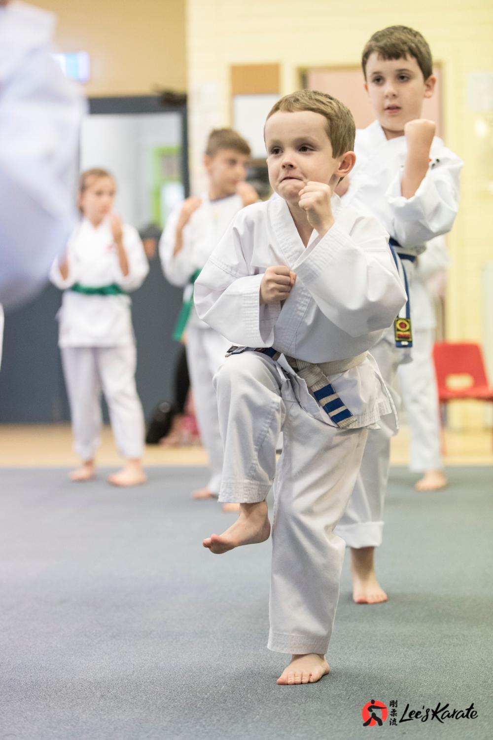 Lees Karate | health | Aquatic Centre, 170 Waterdale Rd, Ivanhoe VIC 3079, Australia | 0421416119 OR +61 421 416 119