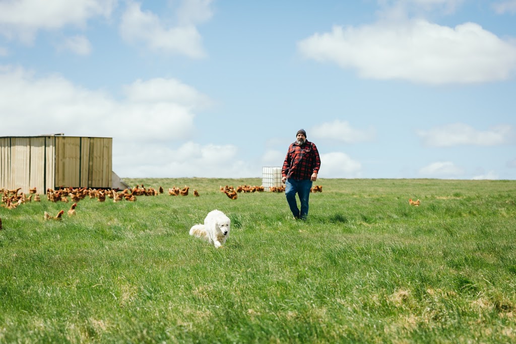 Creswick Open Range Farm | 110 Wrigleys Rd, Creswick North VIC 3363, Australia | Phone: 0427 365 297